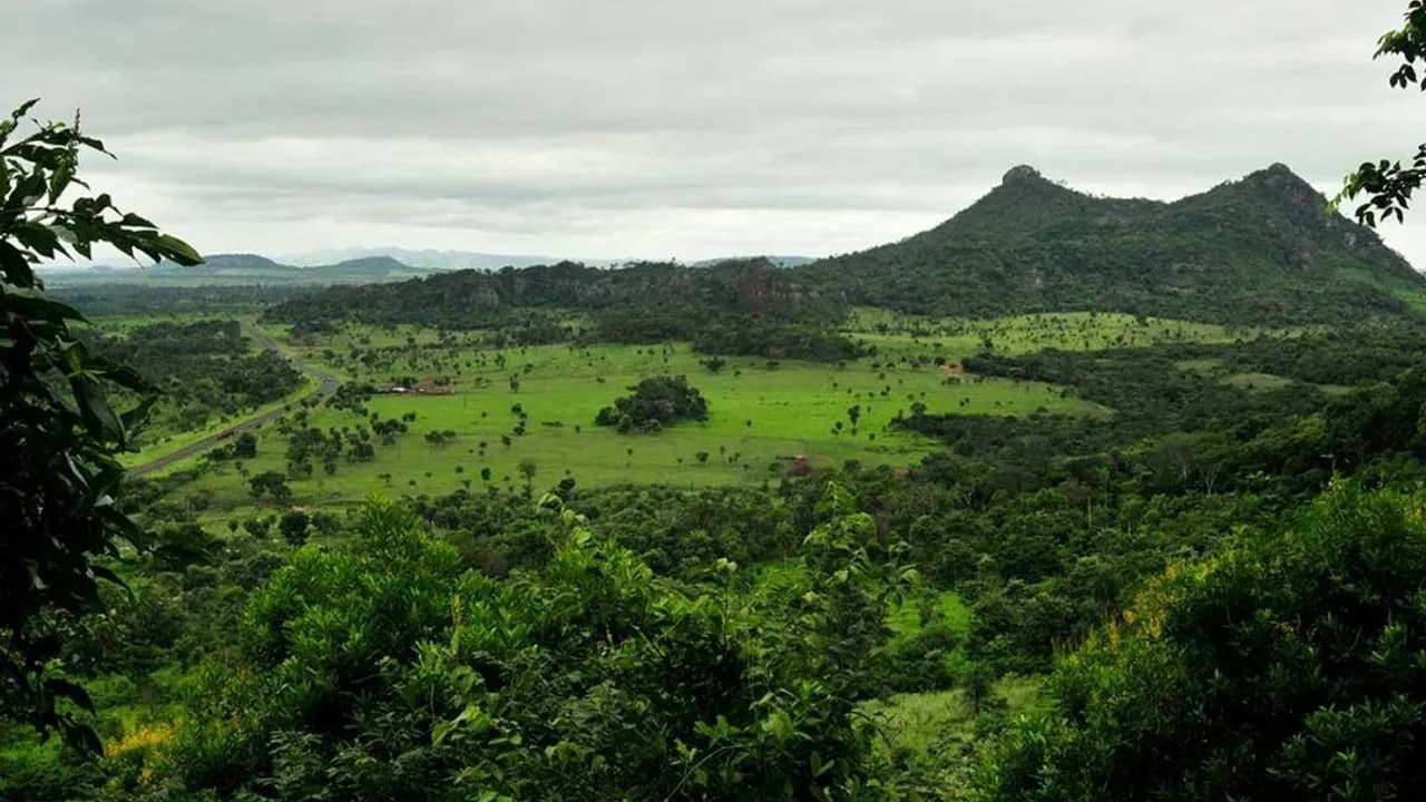 Mades presenta plan integral para blindar los parques nacionales y financiar su conservación